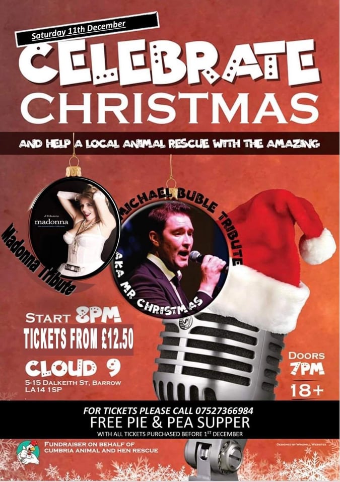Celebrate Christmas Fundraiser with Michael Buble and Madonna Tribute Acts